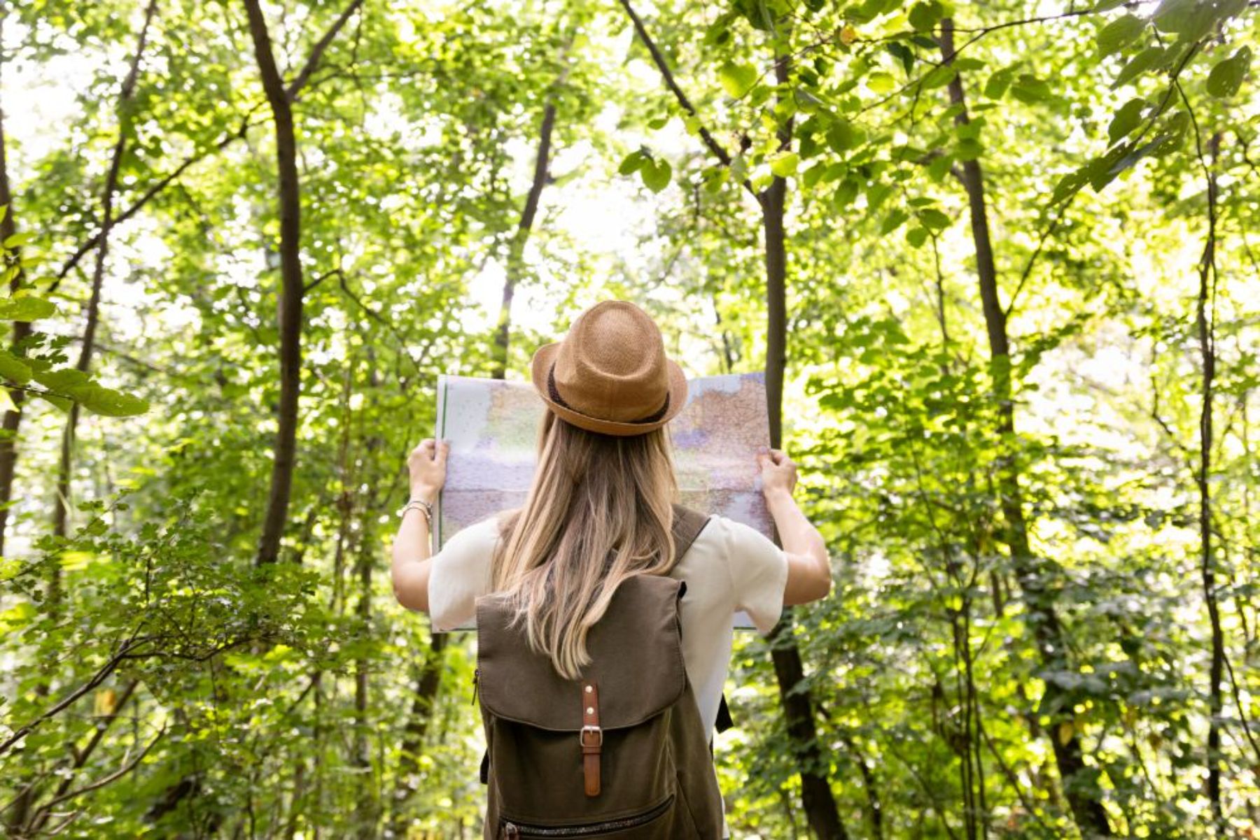 Eco-friendly tourism in Lefkada